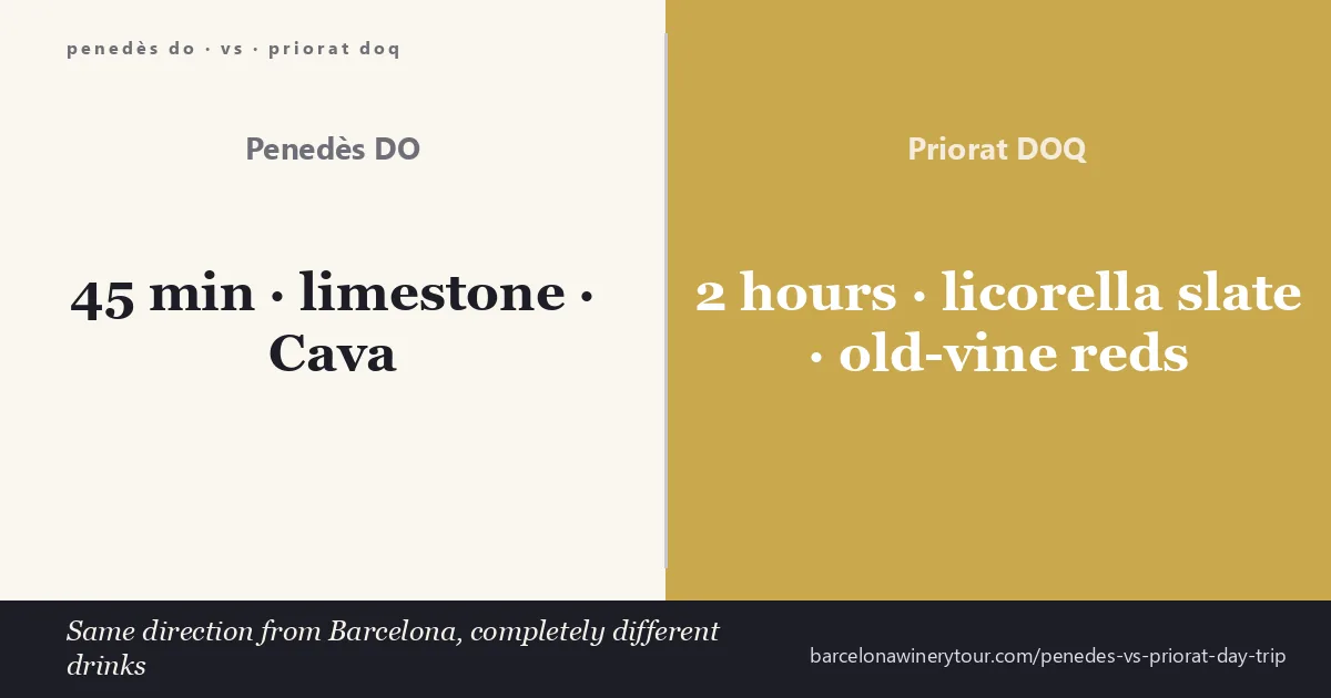 Penedès limestone vineyards with Cava cellars on left, Priorat DOQ licorella slate vineyards with Garnatxa and Carinyena vines on right — both Catalan wine regions, very different terroirs